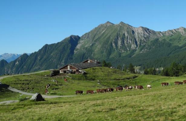 hotelpetitprince.abc-vacanze it offerta-settembre-in-hotel-in-valle-d-aosta 041
