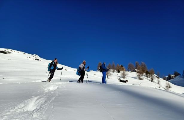 hotelpetitprince.abc-vacanze en christmas-and-new-year-offer-on-the-aosta-valley-slopes 018